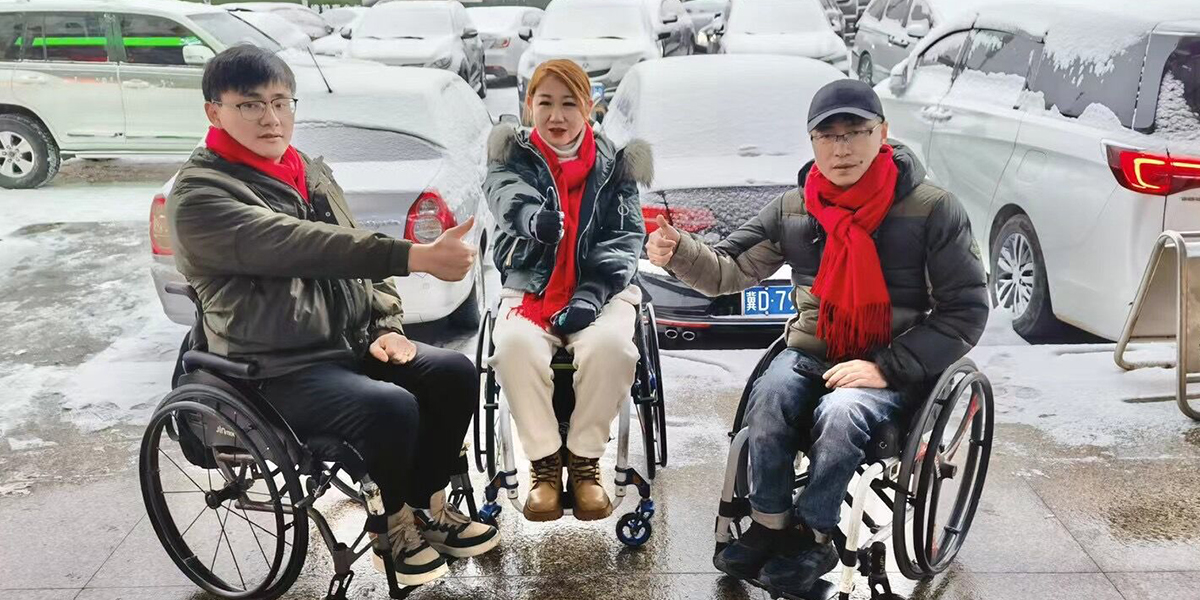 JBH инвалидная коляска 